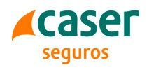 Logo Caser