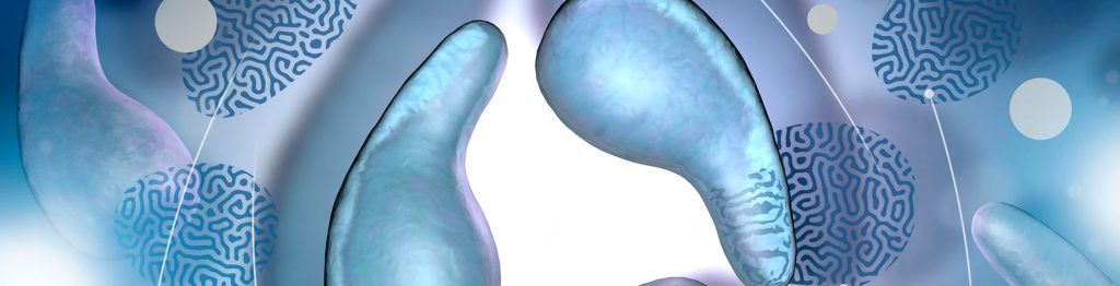 Mycoplasma-genitalium