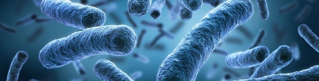Bacterias-enteropatógenas