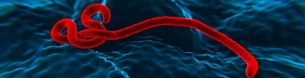 ebola
